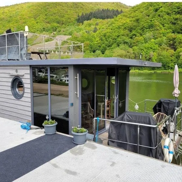 Hausboot auf der Mosel，位于Pölich的酒店