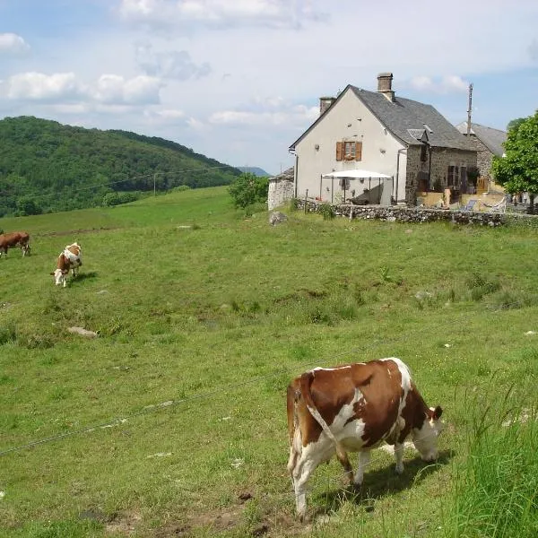 Chez Marraine，位于Sauvat的酒店