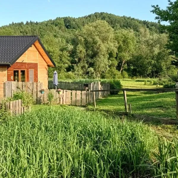 Dolina Rosy，位于下乌斯奇基的酒店