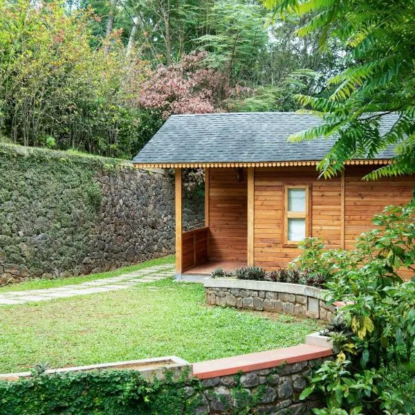 Misty Mountain Experience，位于比尔梅德的酒店