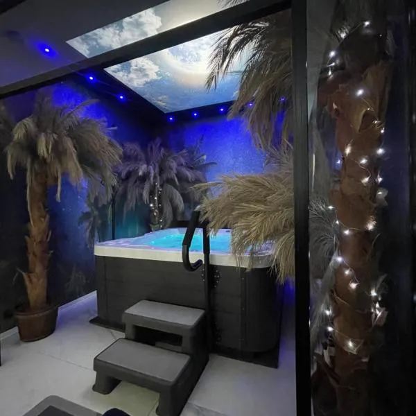 Apartament Księżycowy z jacuzzi，位于新松奇的酒店