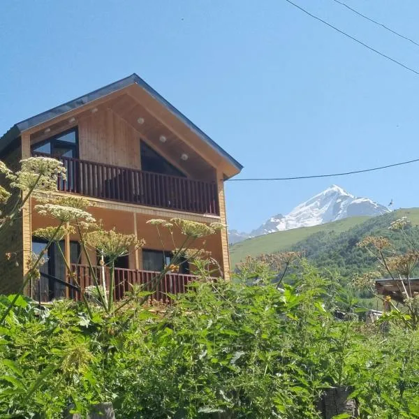 Vista Adishi,位于Adishi的酒店