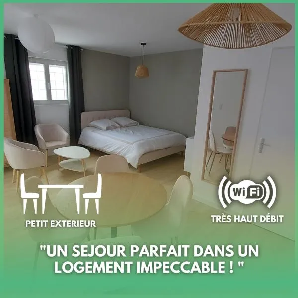 Studio Centre de Monnaie，位于Monnaie的酒店