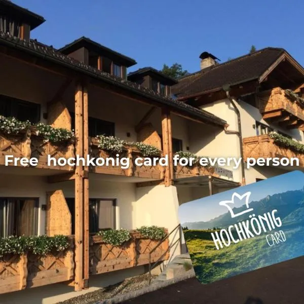 Marmotta Alpin hotel，位于上柯尼希山麓米尔巴赫的酒店