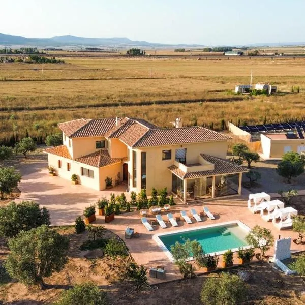 Agroturismo Casa Saladarejo de los Olivos，位于阿尔曼萨的酒店