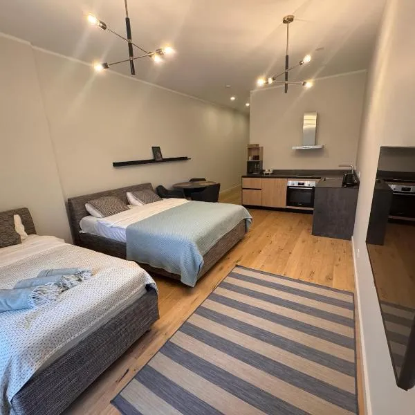 Albatross apartamenti Ķesterciemā，位于Ķesterciems的酒店