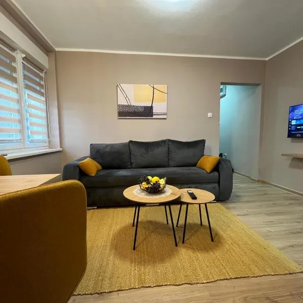 Apartman Momirov Titel，位于Železnička Stanica Donji Titel的酒店