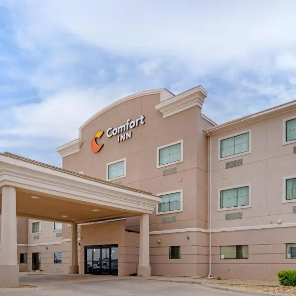 Comfort Inn I-20 Midland Stanton，位于Stanton的酒店