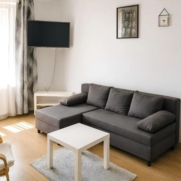 Apartamenty Aktywny Wypoczynek - Noclegi Międzylesie，位于缅济莱谢的酒店