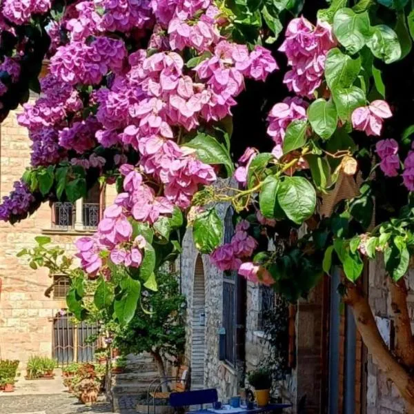 La Bouganville，位于阿西西的酒店