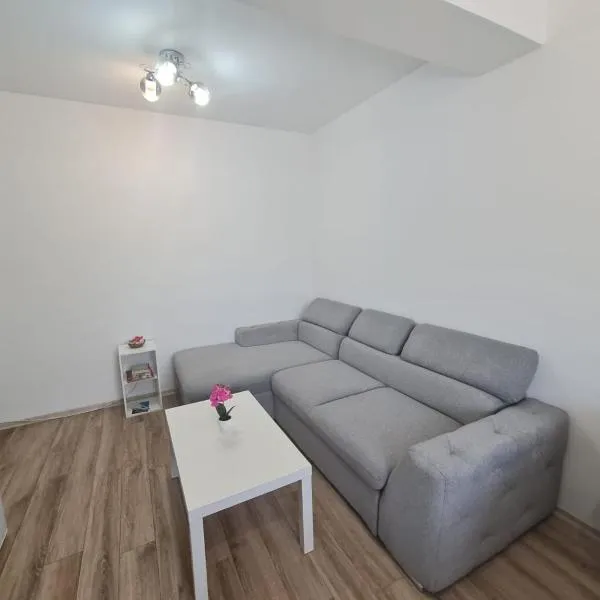 Latin studio，位于Bragadiru的酒店