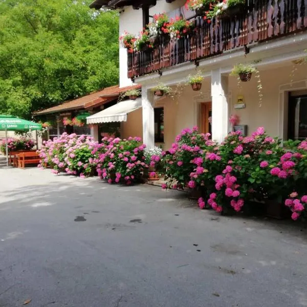 Domačija Bubec，位于伊利尔斯卡比斯特里察的酒店