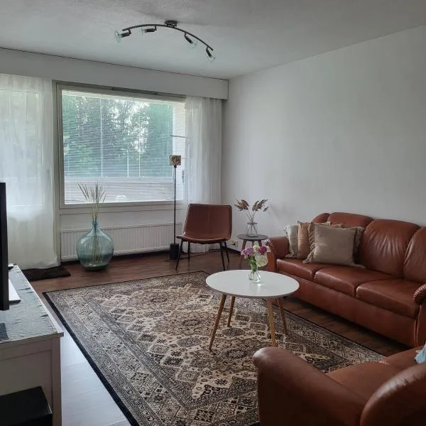 Bright through-house triangle，位于Vilppula的酒店