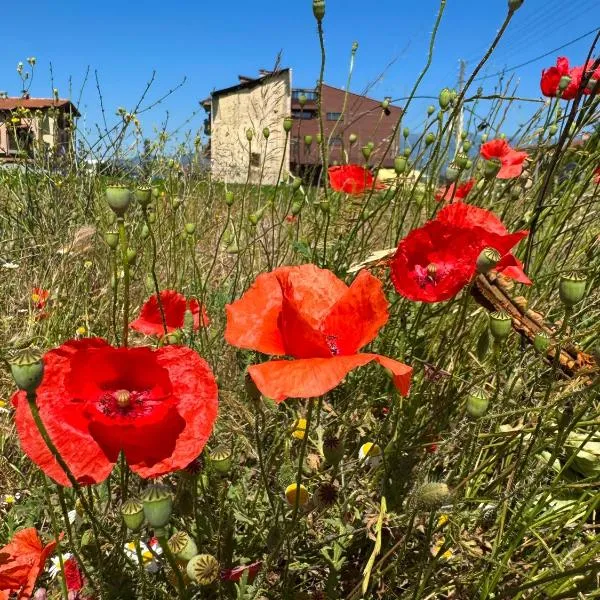 Stenata LightWill，位于巴尼亚的酒店