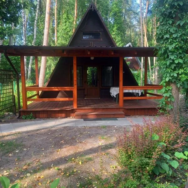 Domek pod świerkami 2，位于斯科尔茨的酒店