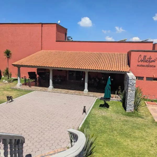 Hotel Boutique Nueva Escocia，位于Santo Tomás Chautla的酒店