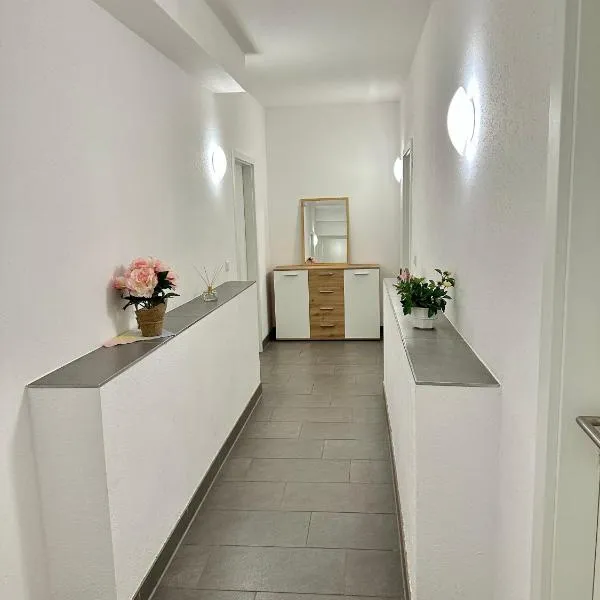 Pension Jasmin A，位于开姆尼茨的酒店