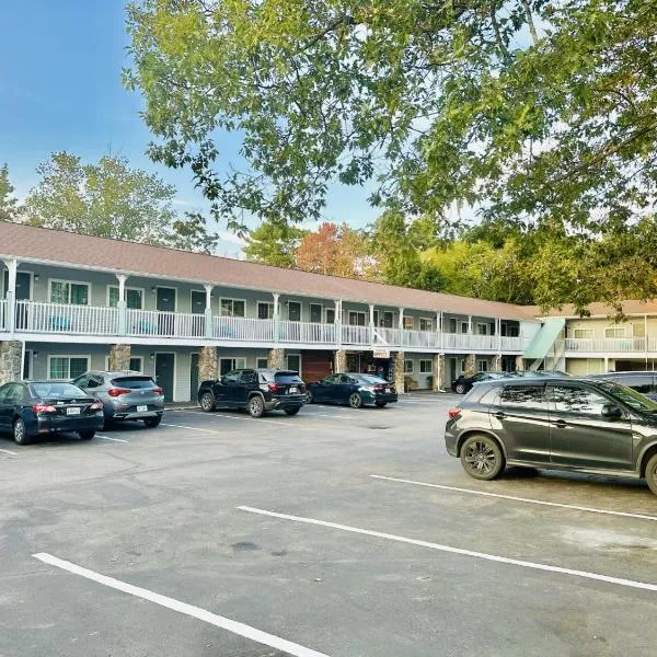 Hampton Motor Inn，位于汉普顿的酒店