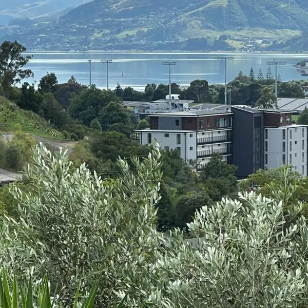 Sunny hillside central Nelson hideaway with city to sea views，位于纳尔逊的酒店