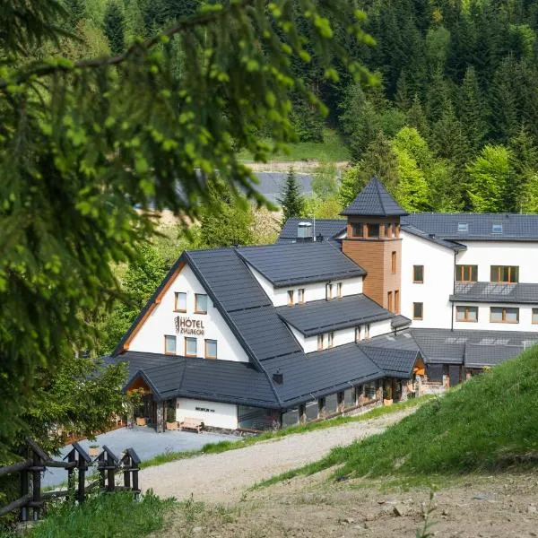 Hotel Żywiecki Medical SPA & Sport Żywiec，位于耶维克的酒店