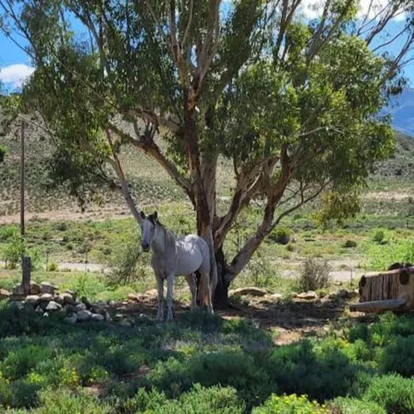 Rocky Sands - Klein Karoo R62，位于Plathuis的酒店