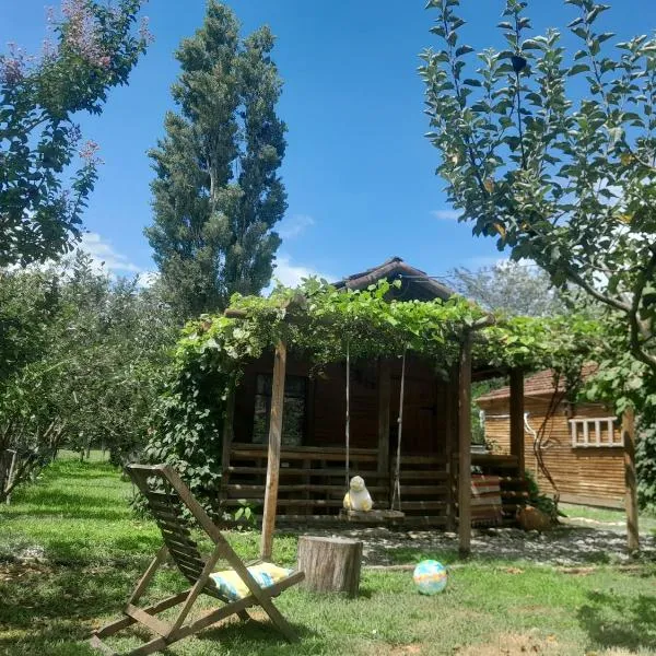 Tiny houses Genacvale，位于马尔特维利的酒店