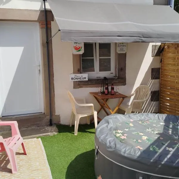 le petit cosy terrasse et spa，位于Petersbach的酒店