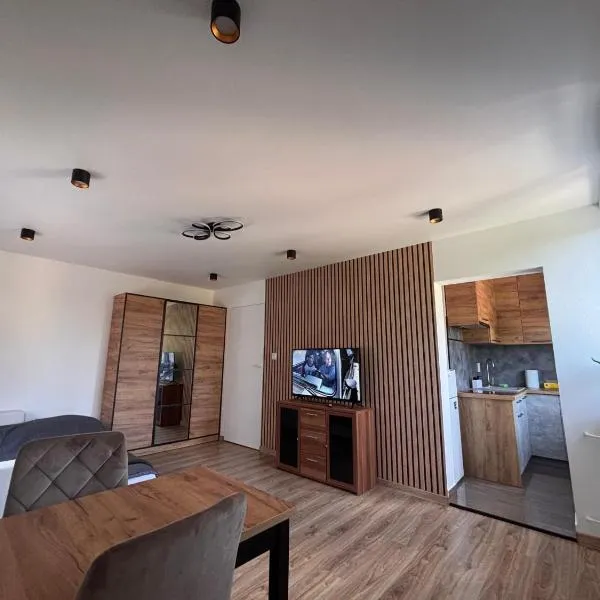 Studio 3maja，位于哈伊努夫卡的酒店