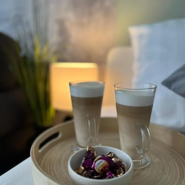Apartament Piaskowa Mountain & Coffee，位于瓦乌布日赫的酒店