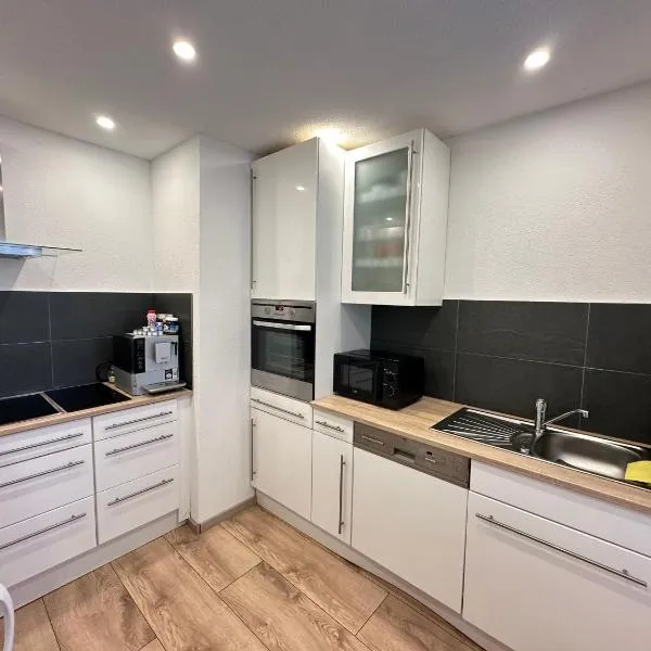 Ferienwohnung AyNa 1, direkt an der Schweizer Grenze，位于巴特塞京根的酒店