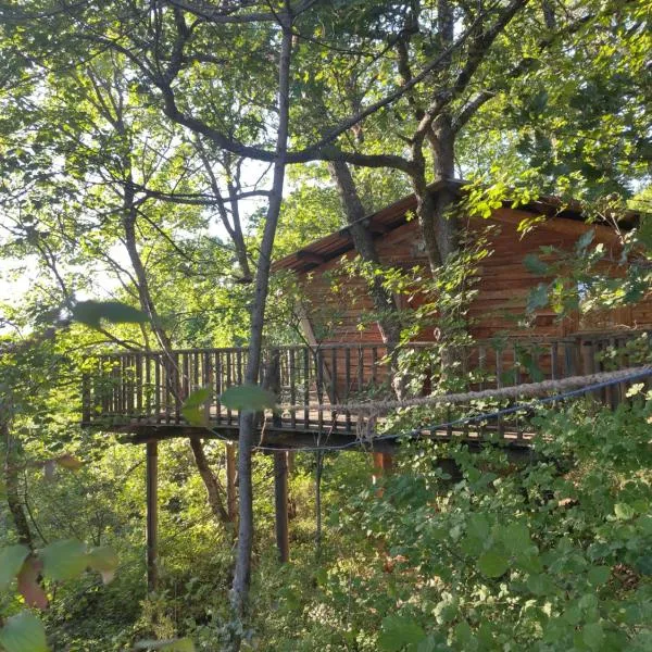Cabane de la Bannette - Magnifique cabane dans les arbres, vue panoramique，位于Thoard的酒店