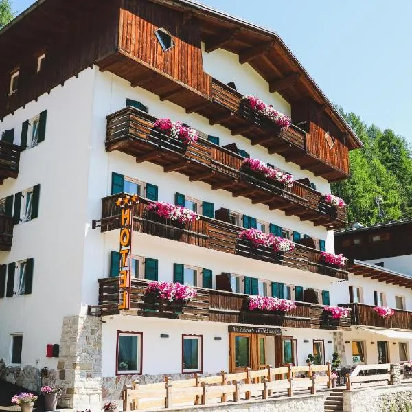 Hotel Des Alpes，位于科尔蒂纳丹佩佐的酒店