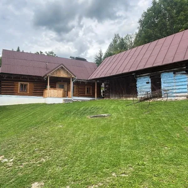 Švajkova chyža，位于Šumiac的酒店