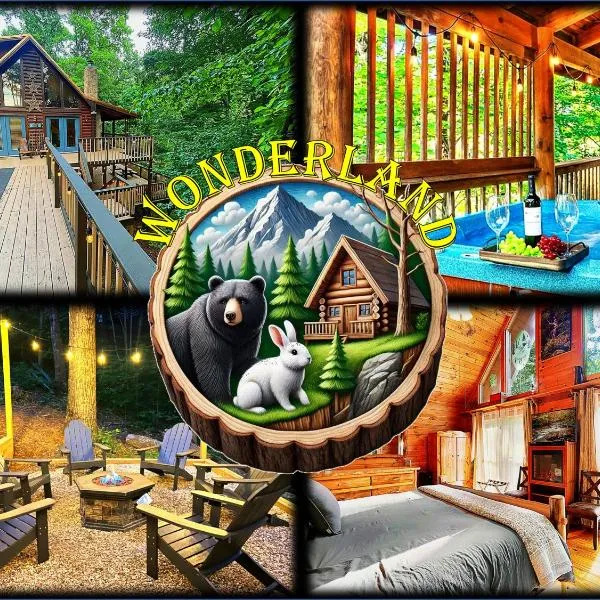 Wonderland Cabin，位于赛维尔维尔的酒店