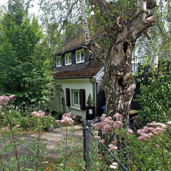 Ferienhaus Fuchs&Hase，位于Seelbach的酒店