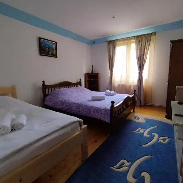 Casa Iancu，位于莱斯诺夫的酒店