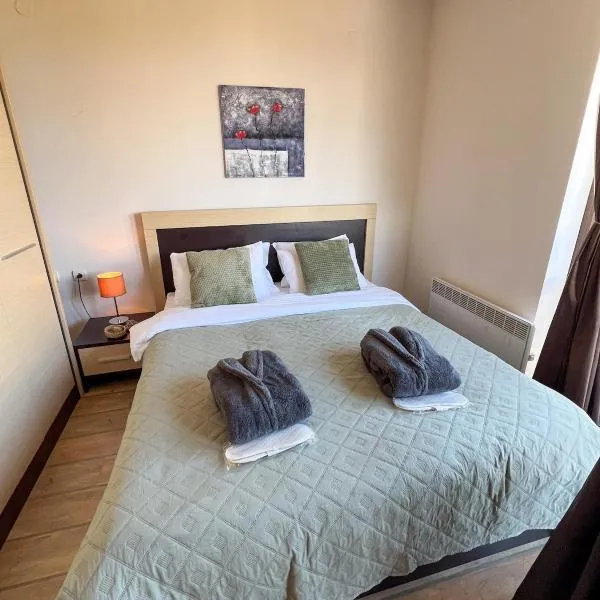 Alpine Lodge Chalet in Bansko，位于班斯科的酒店