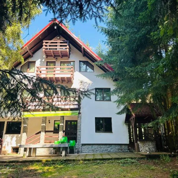 Casa Mario，位于Dragoslavele的酒店
