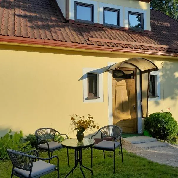 Dubavi，位于Viestura Laukums的酒店