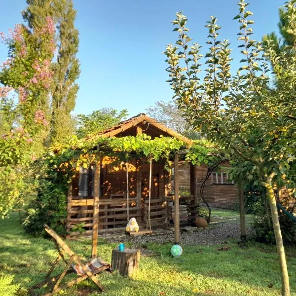 Tiny houses Genacvale，位于马尔特维利的酒店