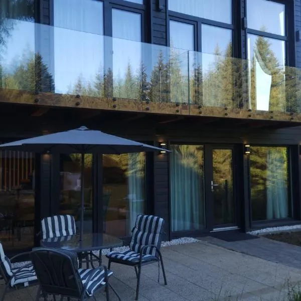 Casa cu brazi，位于普雷代亚尔的酒店