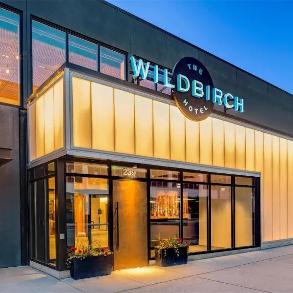 The Wildbirch Hotel in JdV by Hyatt，位于安克雷奇的酒店