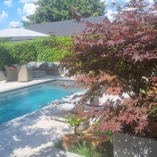 PINE COTTAGE- 5 minutes Francorchamps - charme -piscine-calme-jardin，位于Sart的酒店
