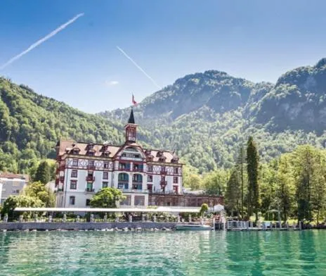 Hotel Vitznauerhof - Lifestyle Hideaway at Lake Lucerne，位于菲茨瑙的酒店