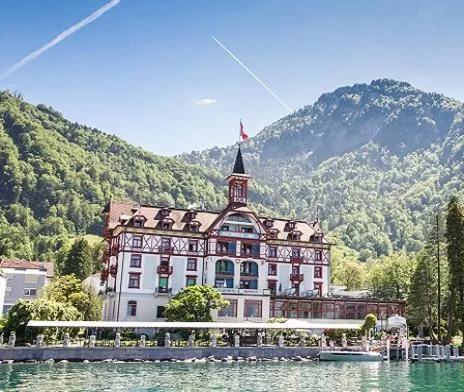 Hotel Vitznauerhof - Lifestyle Hideaway at Lake Lucerne，位于菲茨瑙的酒店