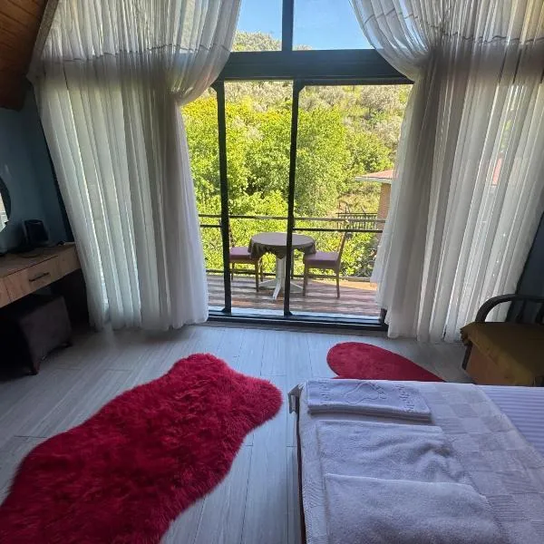 Ahsen pansiyon，位于塞尔丘克的酒店