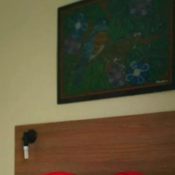 Hotel Central Gold，位于马瑙斯的酒店