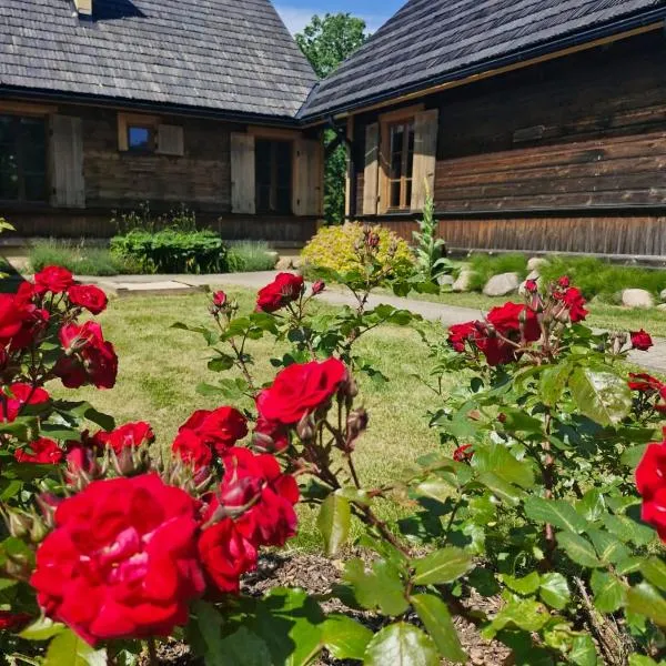 LELB Rekolekciju centrs Mazirbē，位于Mazirbe的酒店