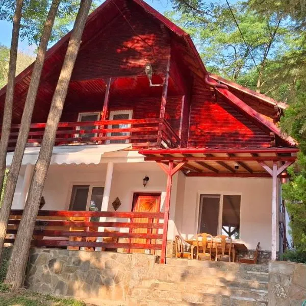 Pensiunea Geo，位于Lunca Mare的酒店