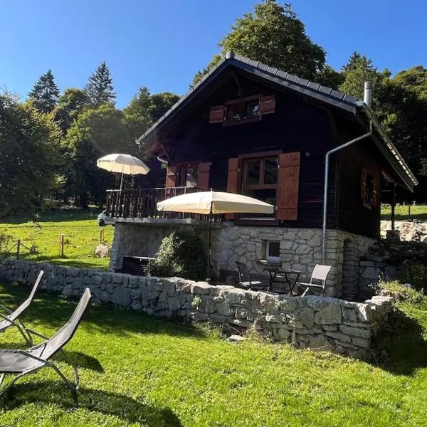 Chalet Jura Bernese Beautiful，位于Malleray的酒店